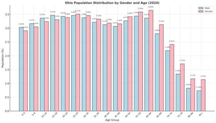 Dayton Modderman video statistics